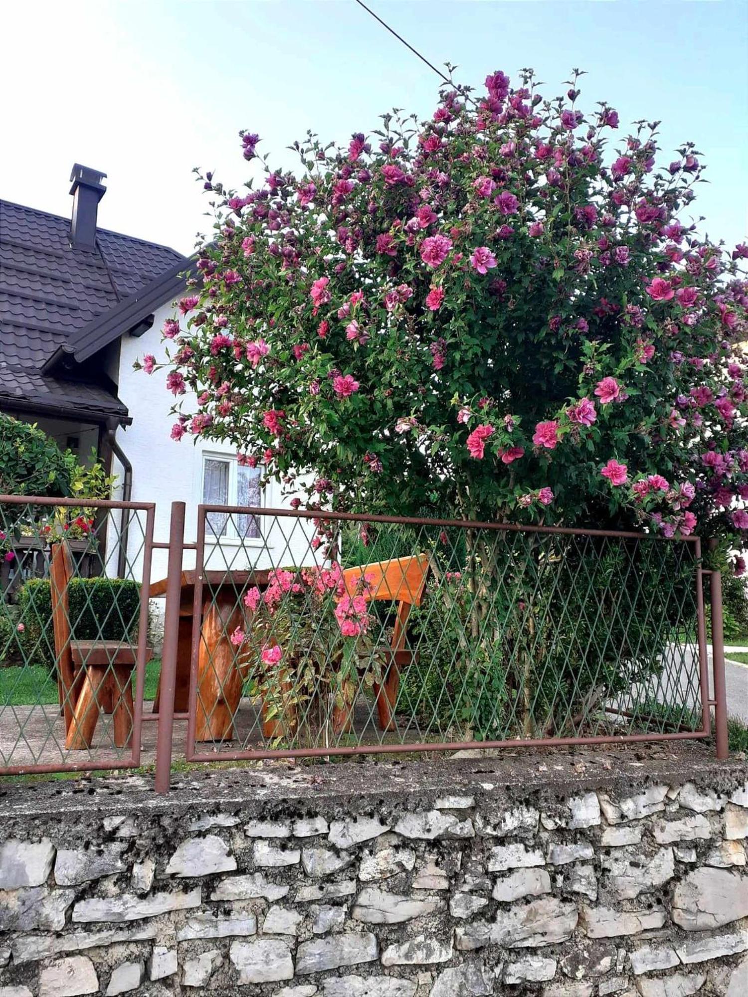 Guesthouse Milka Poljanak Buitenkant foto